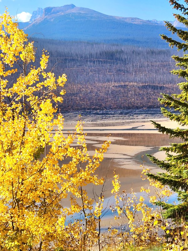 Jasper Medicine Lake.jpg
