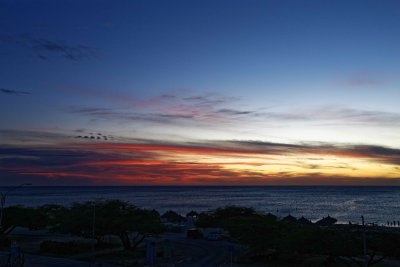 _02C5149_DxO.jpg
