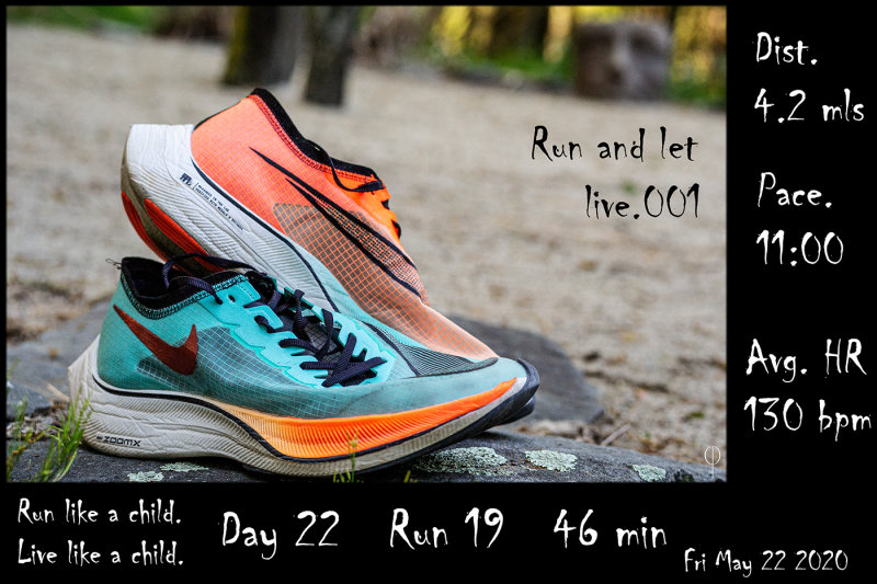 Run_again022.jpg