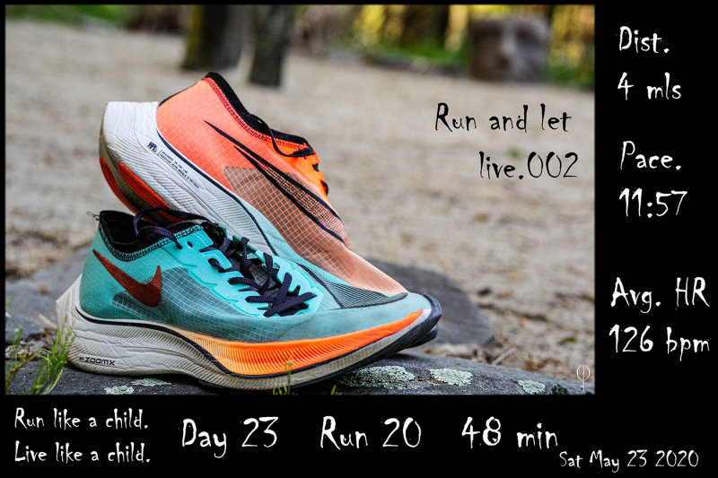 Run_again023.jpg