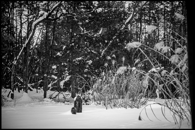 Leica_06.jpg