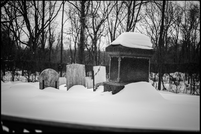 Feb.14.Sun_02.jpg
