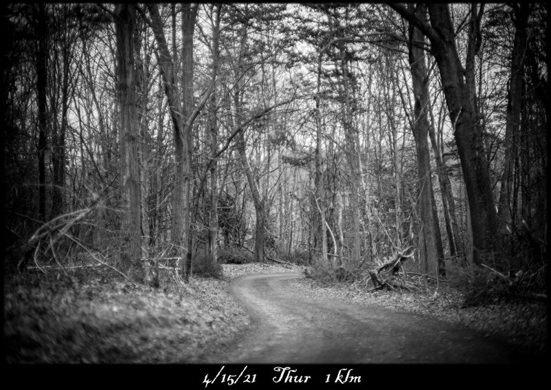 Run_014.jpg