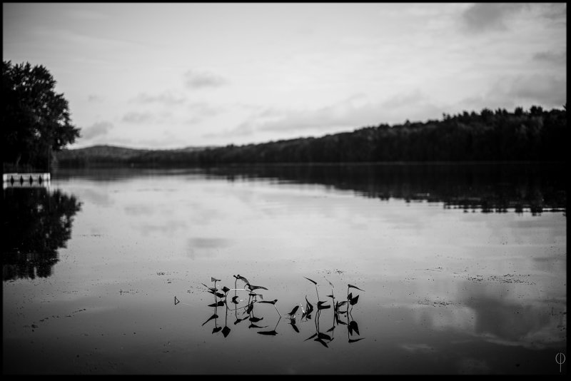 Chadwake_Lake.jpg