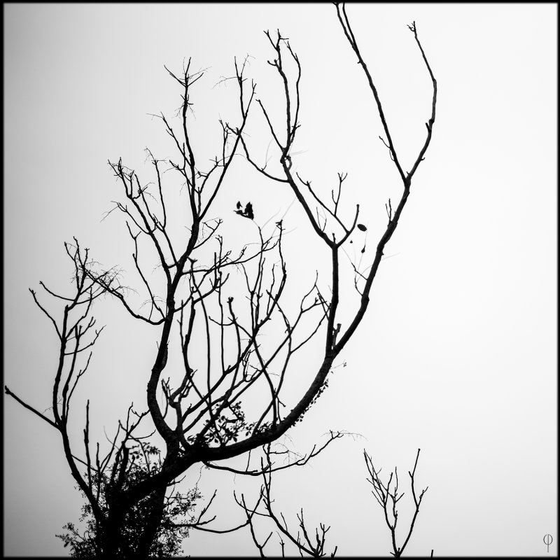 M.Monochrome.Walk_002.jpg