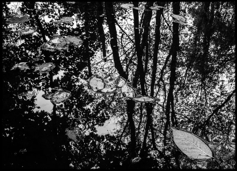 M.Monochrome.Walk_006.jpg