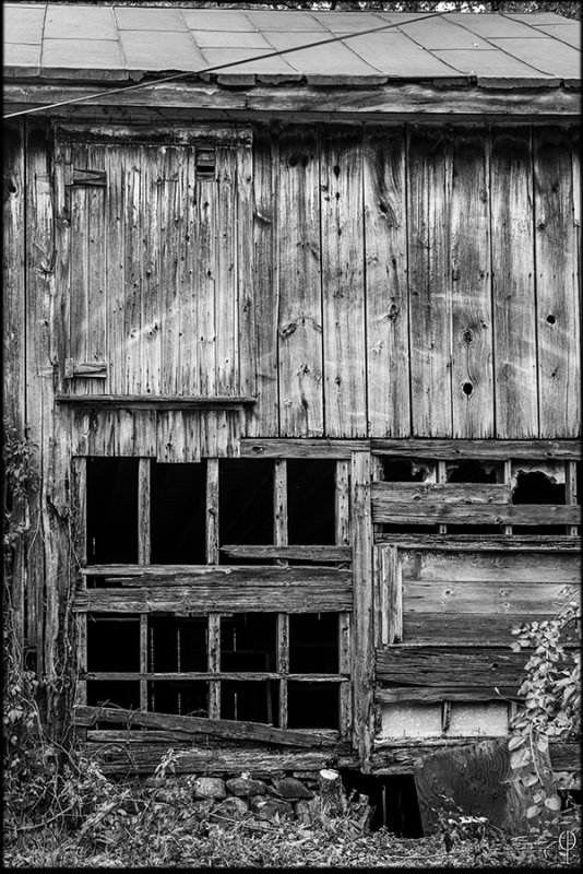 M.Monochrome.Walk_008.jpg