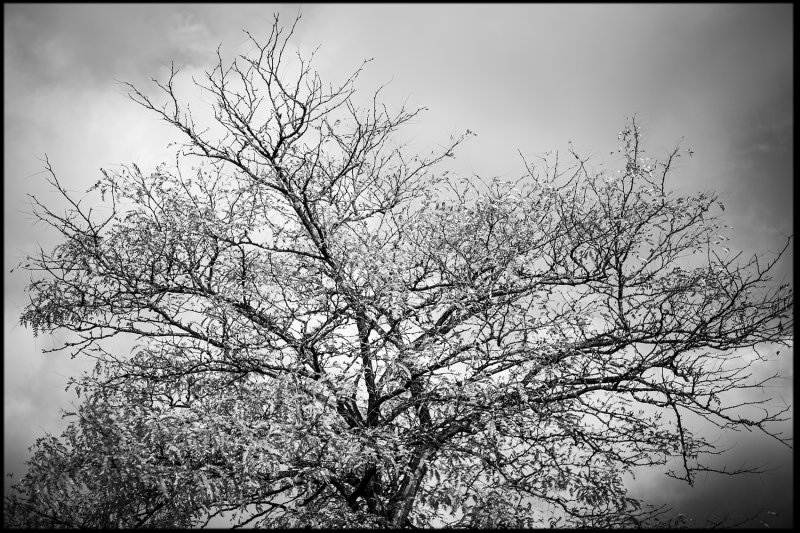 M.Monochrome.Walk_011.jpg