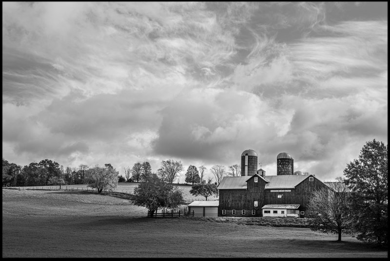 M.Monochrome.Walk_012.jpg