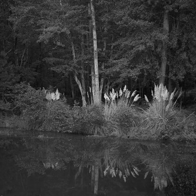 M8 Digital Camera 320 20-09-25 - 0_3.jpg