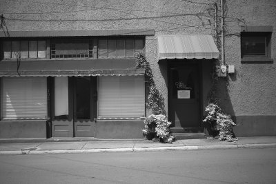 Washington Mono - Aug 26 2021 - 0 8.jpg