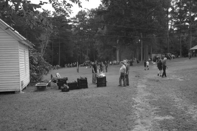 Mule Day