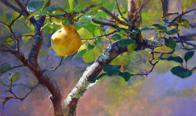 4. Beneath the Quince 24 x 40
