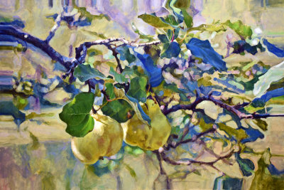 9. Quince Tree, with Distortion 24 x 36