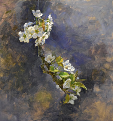 11. Blossoming Pear  24 x 16 1/2