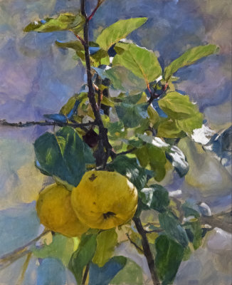 14. Quince Pair 33 24 x 18