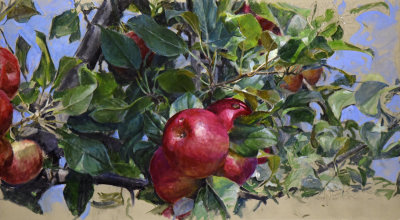 18. Ripening Apples, Bethlehem 15 x 31