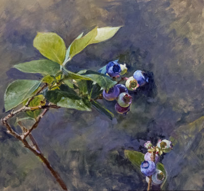 20. Blueberries, Ripening 18 x 19 1/4
