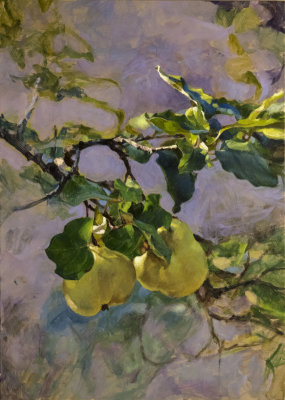 2 Quinces 34 x 24