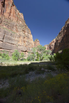 Zion National Park