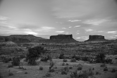 IMG_0463.jpg