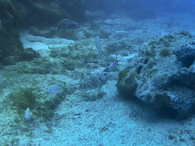 AAXV4805.jpg