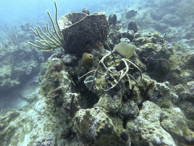 OVTK3567.jpg