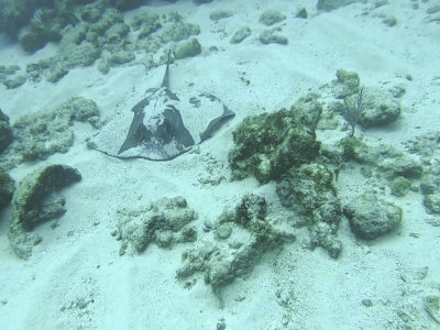 PHPX6965.jpg