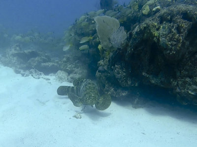 RXAF1951.jpg