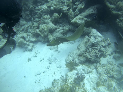 WDFL4041.jpg