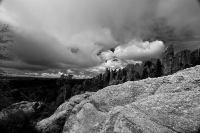 custer_36.jpg