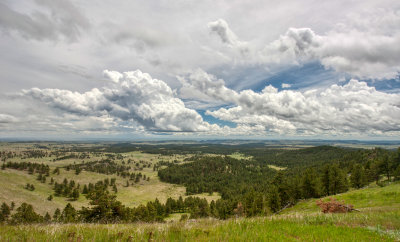 custer_44.jpg