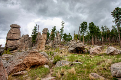 custer_55.jpg