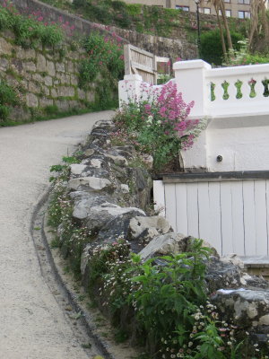 Winding St. Ives Path