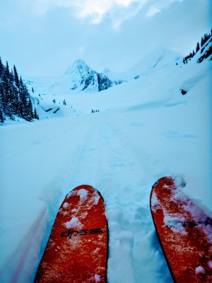 Skiing from Mistaya Lodge, BC Canada Feb 2-9, 2020