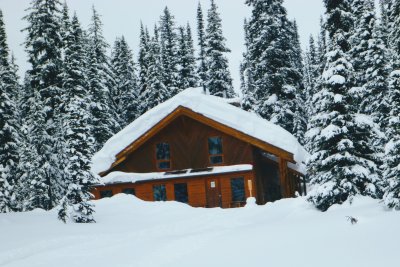Skiing from Mistaya Lodge, BC Canada Feb 2-9, 2020