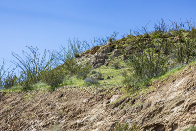 desert-foothills01.jpg