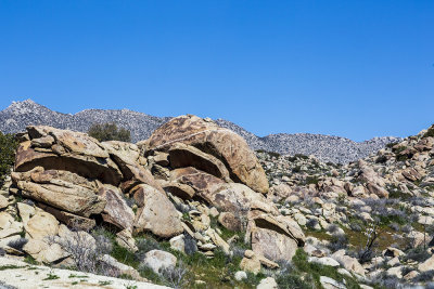 desert-foothills16.jpg