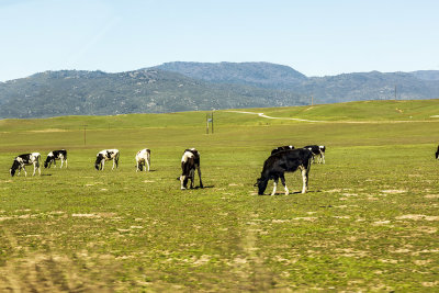 interior-valley02.jpg