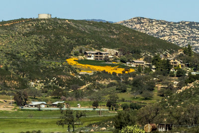 interior-valley07.jpg