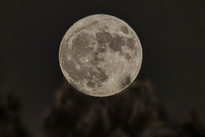 Apogee Moon Shots