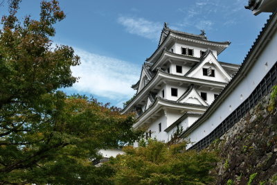 Gujo Hachiman Castle 郡上八幡城