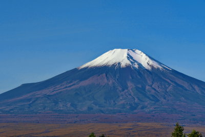 Fuji 富士山