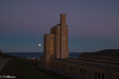 Super Moon and Water Plant