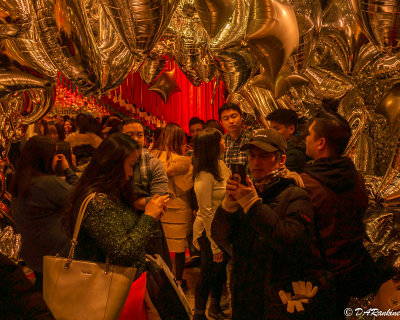 Viewing exhibits at Bay