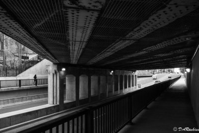 Bridge Over Bloor