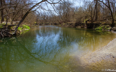 Highland Creek in May
