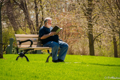 Spring Sun and a Good Book