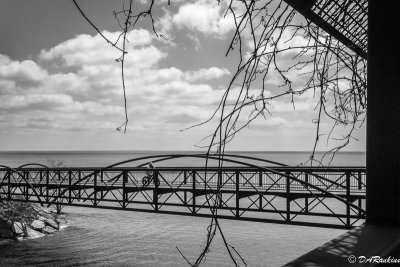 Bridge over Highland Creek