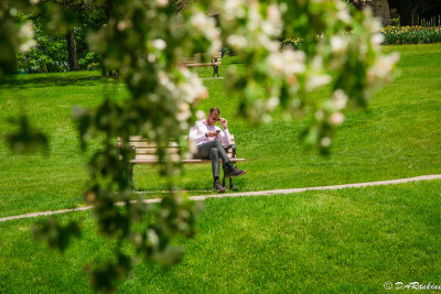 Texting in the Park